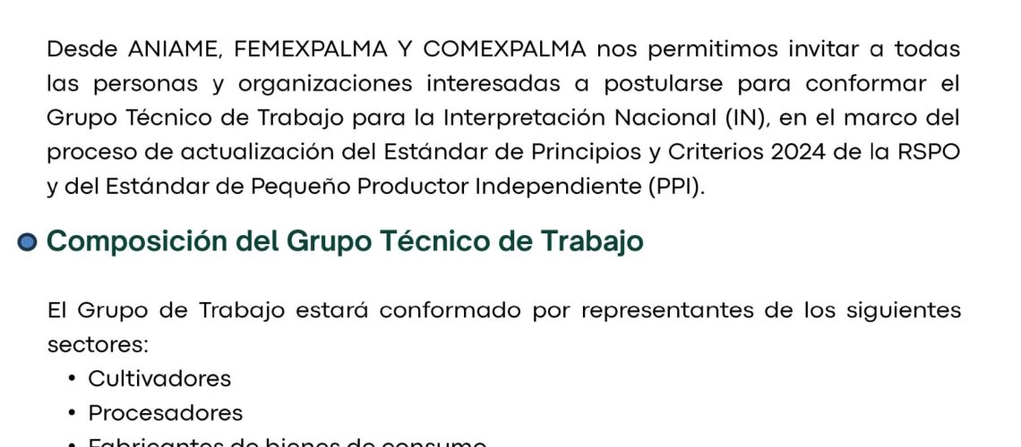Convocatoria IN Mex_1